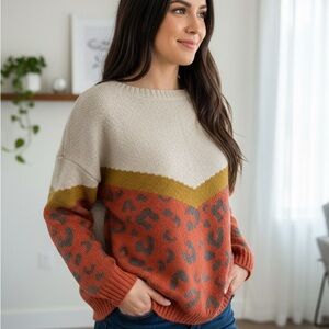 Colorblock Leopard Print Sweater
